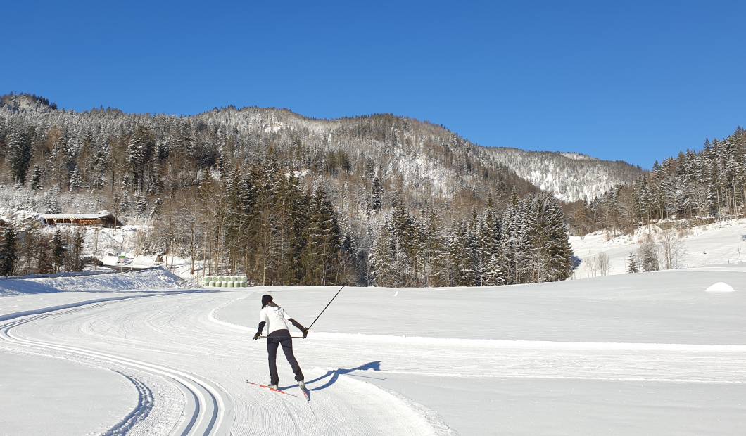 Winterurlaub in Bayern: Skifahren, Snowboarden, Rodeln, Schneeschuhwandern - Hotel Feuriger Tatzlwurm